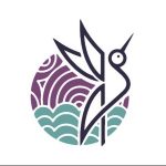 Libsyn Voucher Code 