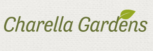 Grazia Papilio Voucher Code 