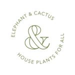 Beautiful Brows And Lashes Voucher Code 