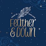 Feather & Down