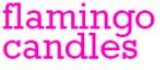 Andrew James Voucher Code 