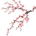 GingrTech Voucher Code 