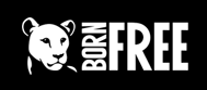 Bootea Voucher Code 