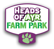 Heads Of Ayr Farm Park