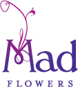 Saffy Selection Voucher Code 
