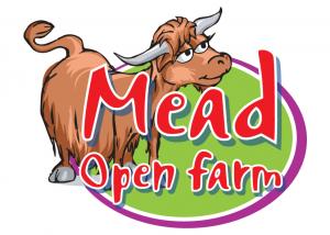 Mryelh Voucher Code 