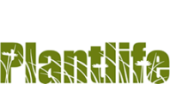 DevaCurl Voucher Code 