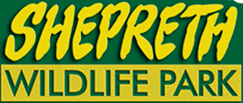 Lifelab Testing Voucher Code 