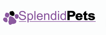 Andrew James Voucher Code 