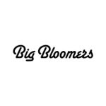 The Big Bloomers Company