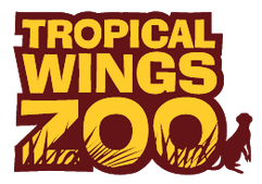 Classic Hand Tools Voucher Code 