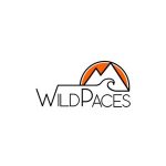 Dose Of Colors Voucher Code 