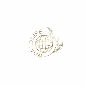 Silver Trader Voucher Code 