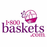 Salt+Pine Shop Coupon Codes 