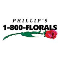 The Whitening Company Coupon Codes 