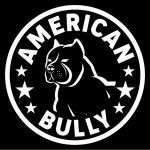 American Habit Coupon Codes 