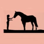 BeByTop Coupon Codes 