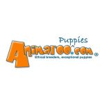 MYPETZBUDDY Coupon Codes 