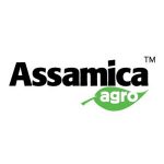 AirExpect Coupon Codes 