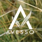 AVESSO