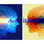 Classyvics Coupon Codes 