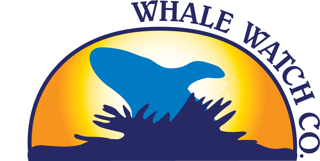 Barharborwhales