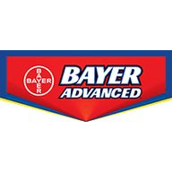 Spring Ads Coupon Codes 