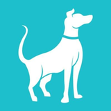 Umami Mart Coupon Codes 