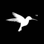 Zander Perioperative Education Coupon Codes 