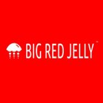 Tinylittlefrenz Coupon Codes 
