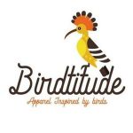 Big Coupon Codes 