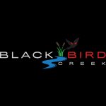Black Bird Creek