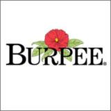 Burpee Gardening