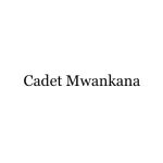 PAWEREA Coupon Codes 