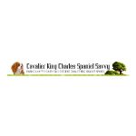 Mad World Of Dolls Coupon Codes 