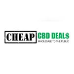 KDB Lashes Coupon Codes 