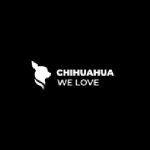 Chihuahua We Love