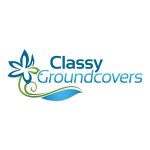 Classy Groundcovers