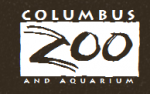 Abacaxi Coupon Codes 