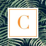 Osram Coupon Codes 