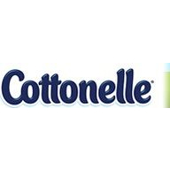 BeeToddler Coupon Codes 