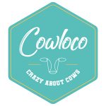 Bootsmania Coupon Codes 