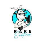 Specs 365 Coupon Codes 