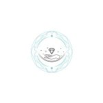 Shnoop.com Coupon Codes 