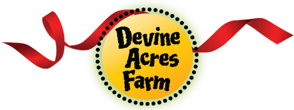 Hanna Elaine Treasure's Coupon Codes 