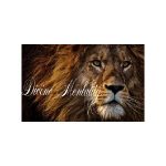Alphacard.com Coupon Codes 