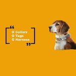 Drop Dimes Co Coupon Codes 