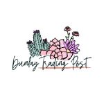Christy Harrison Coupon Codes 