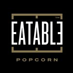 Vigilant Audio Coupon Codes 