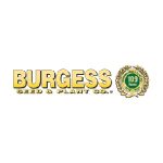 Introtube Coupon Codes 